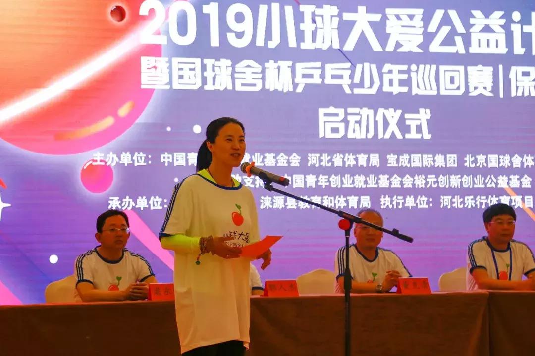 王楠小球大爱,王楠小球大爱公益