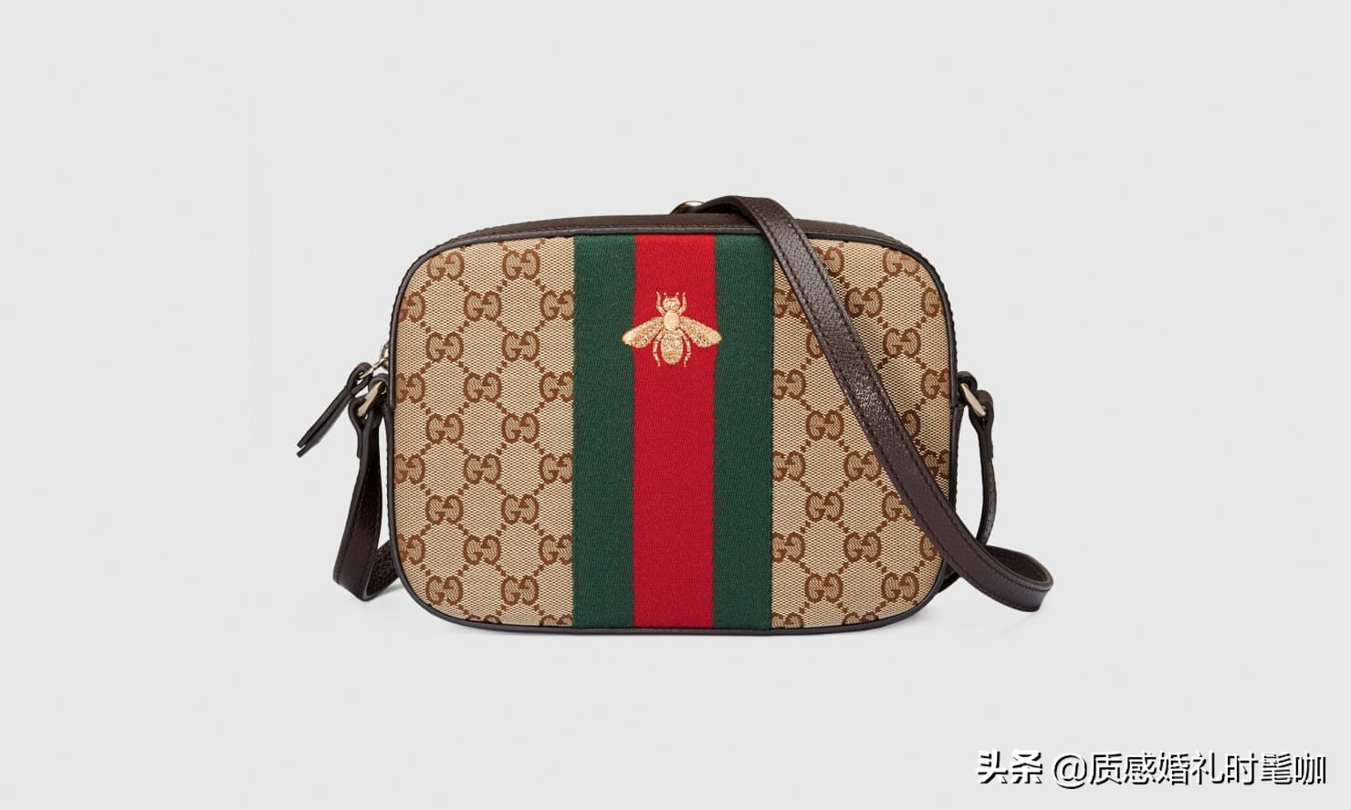 蝗虫算是物种入侵吗,蝗虫是圣甲虫吗