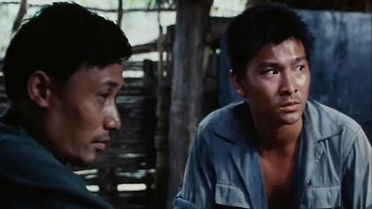 许鞍华获威尼斯电影节奖,许鞍华影展