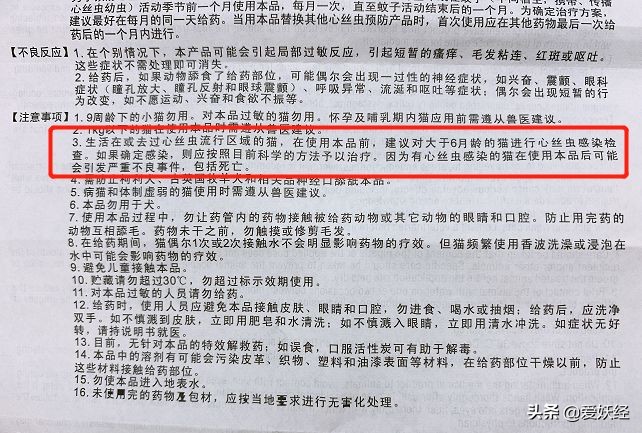别说老狐狸不宠粉,你们要的猫用驱虫药测评!来喽