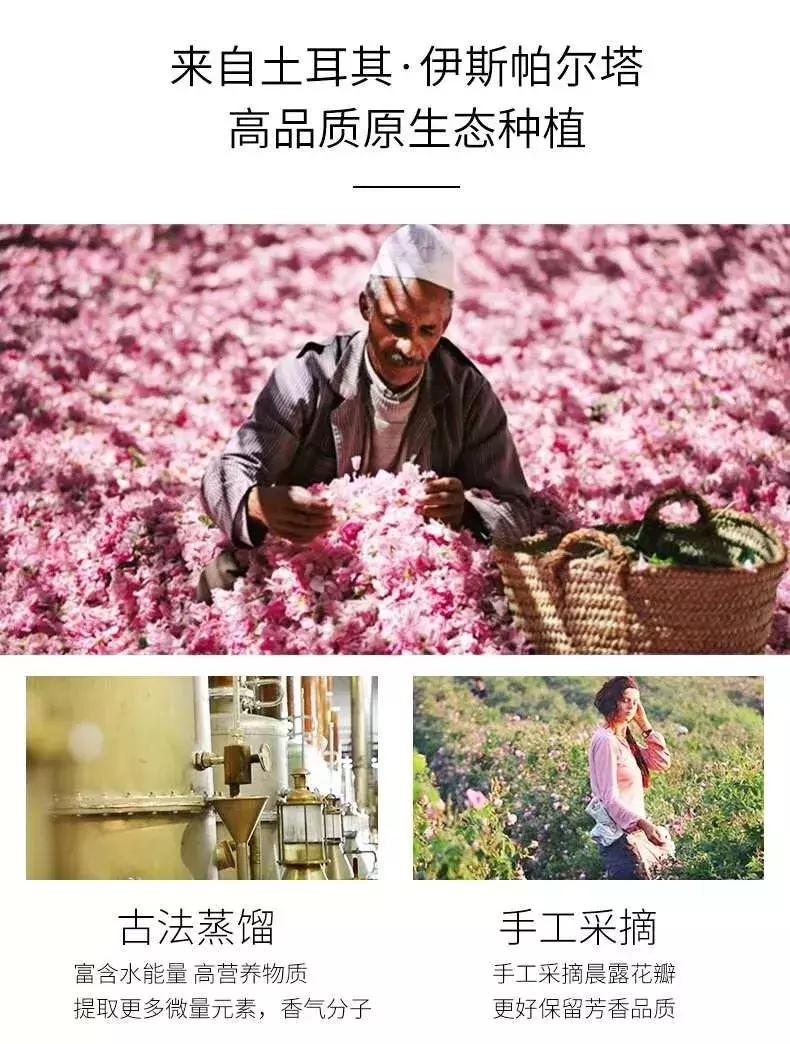 环球旅行我学会了什么,环球旅行一年