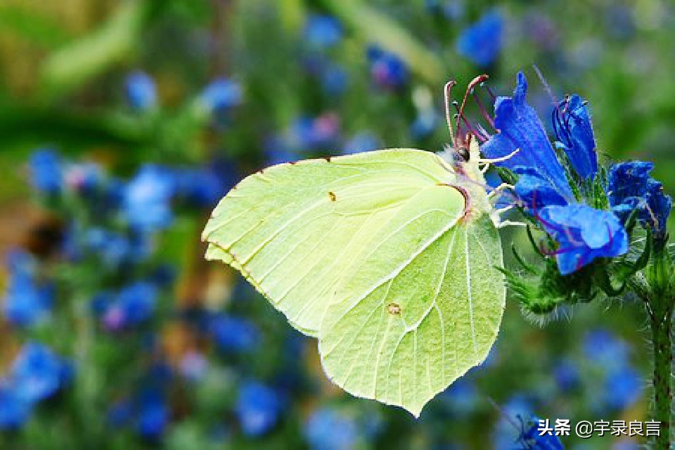 增长人生智慧的经典良言,老一辈人的智慧良言
