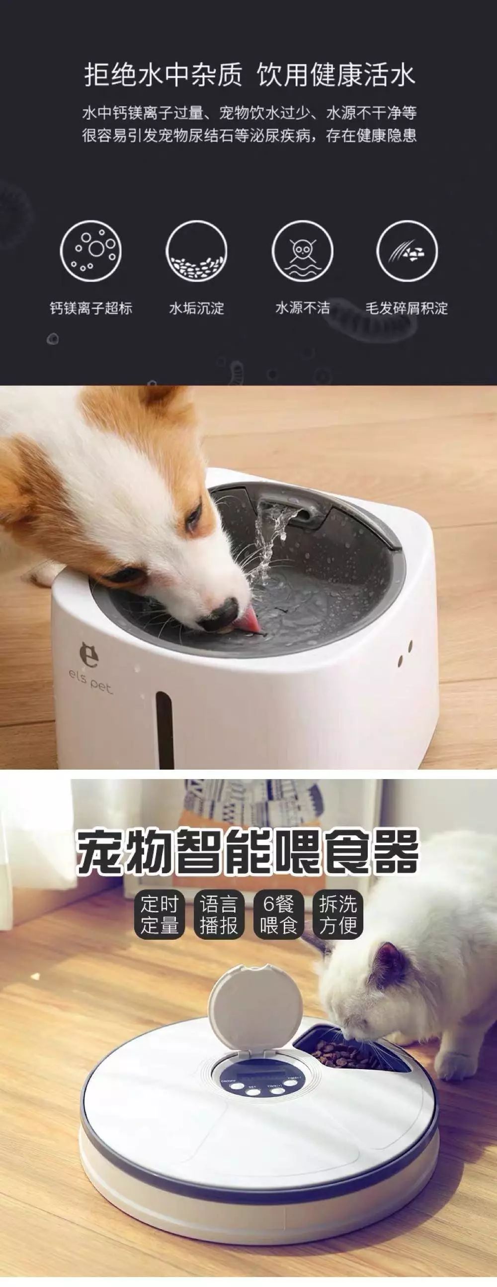 宠物经济市场前景,宠物经济下一个趋势