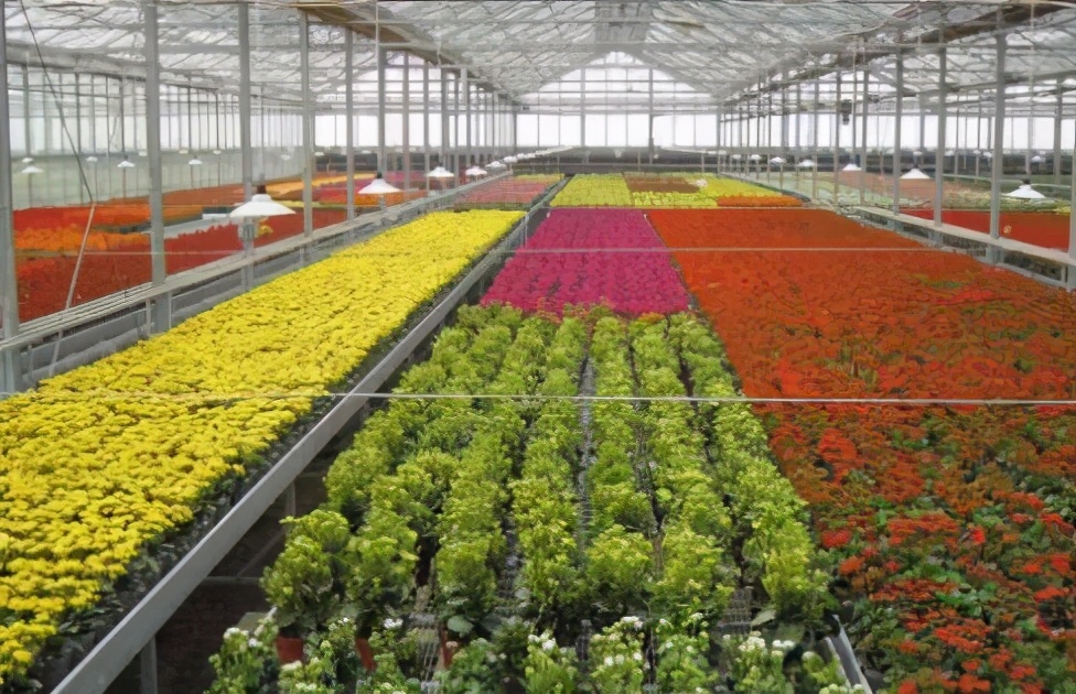 怎样能管理好一个苗圃,苗圃如何运营