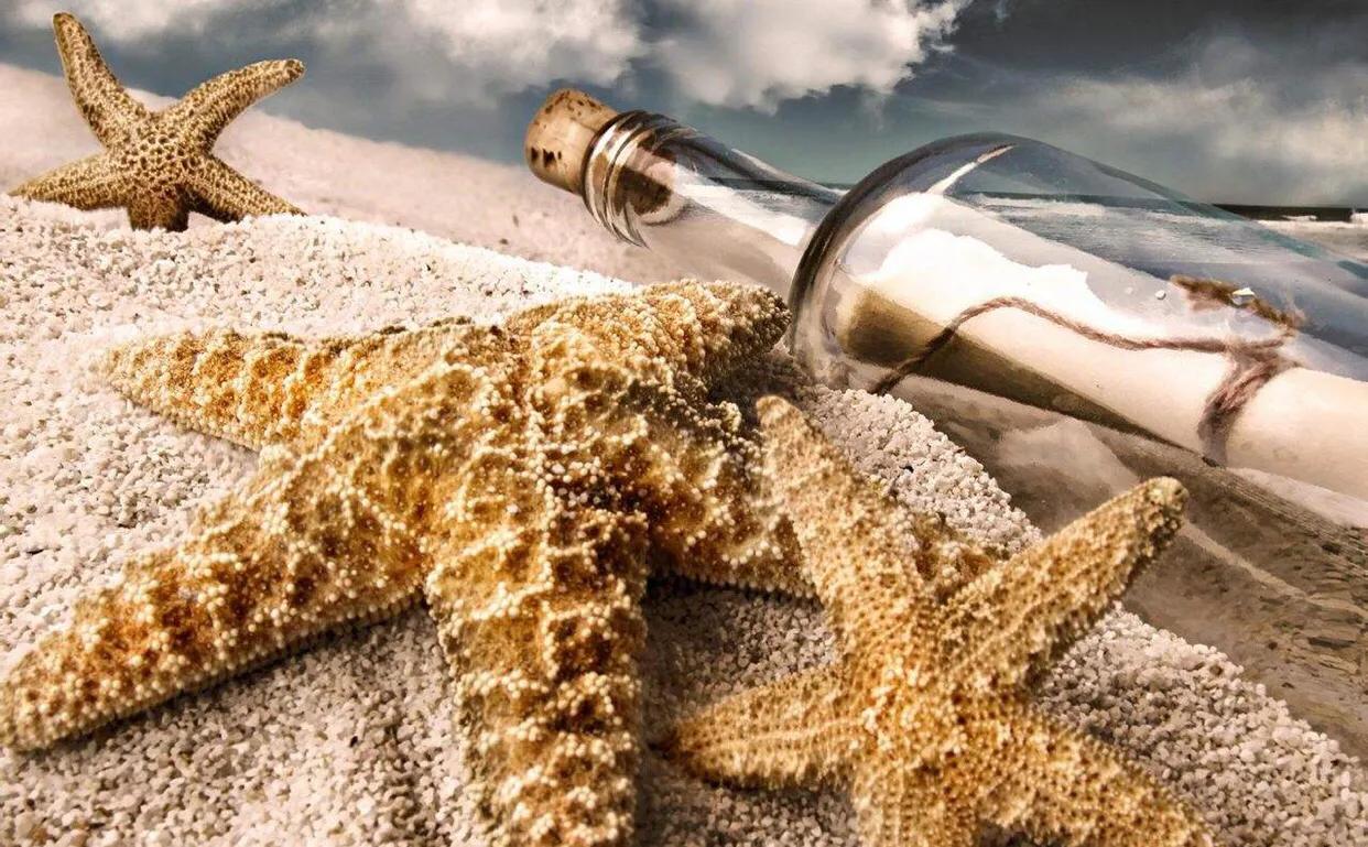 仓鼠去世主人哭了,仓鼠死了小孩哭了