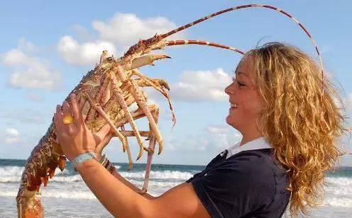 嘘！我要去澳洲了，不如一起吧