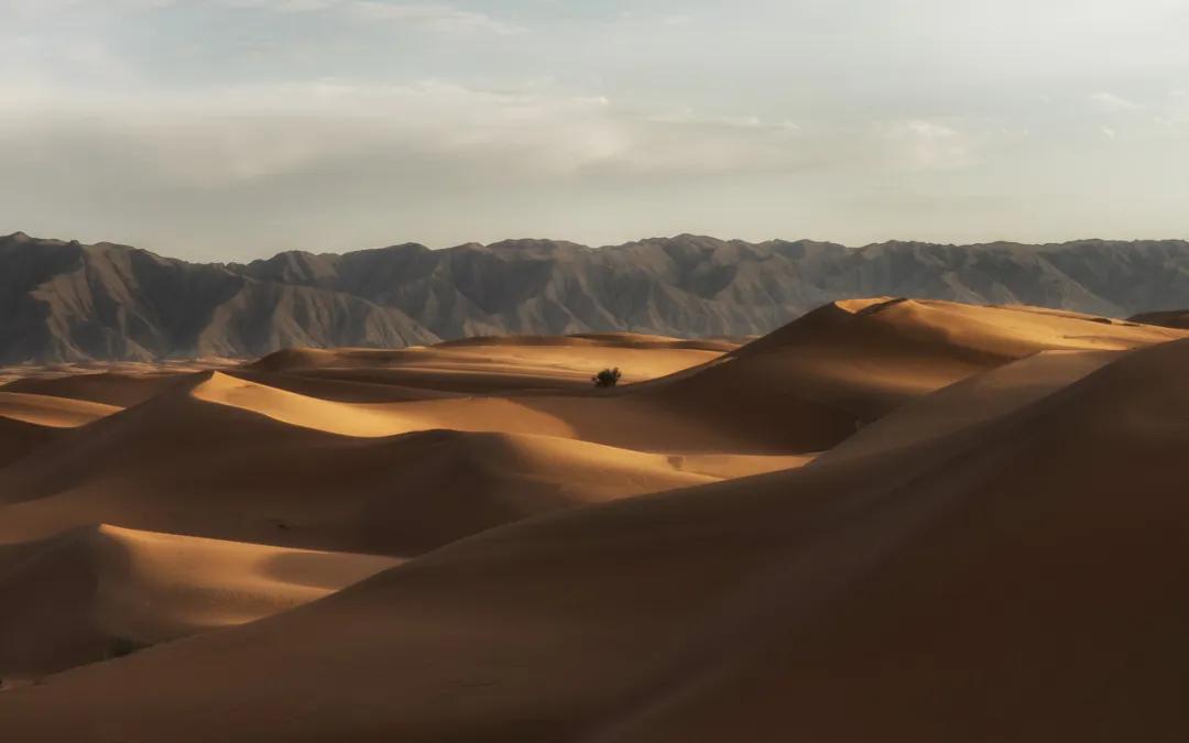 中卫特价酒店,中卫酒店旅游攻略