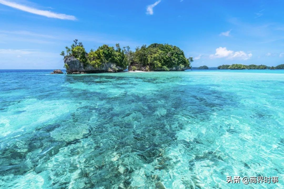 武汉封城53天，我看到了为人父母最丑陋的一面