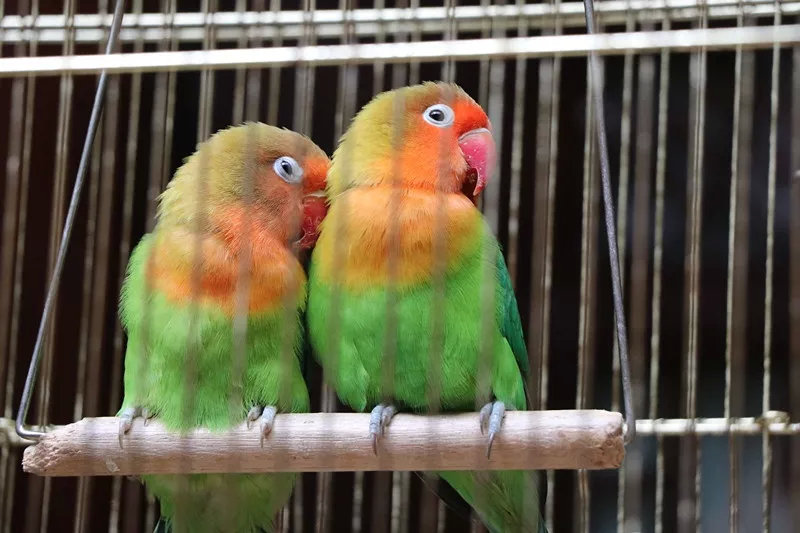 腾冲金玉堂,腾冲和顺古镇金玉堂