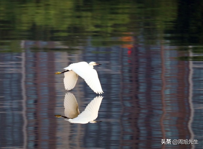 盛京3天深度自驾游好去处推荐,盛京游记