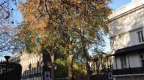 2020年知山大学留学费用及十大优势来袭