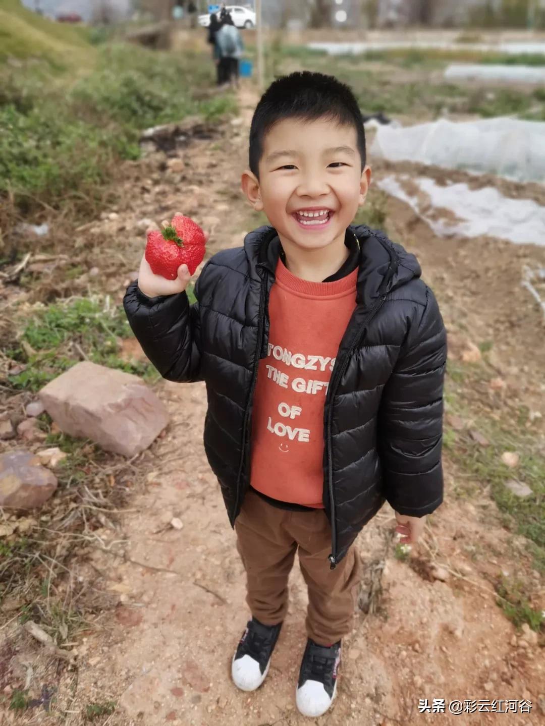 红河州好少年名单,蒙自新时代好少年