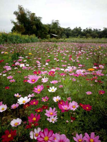 南宁隐藏的景点,南宁周边农家乐游玩景点推荐
