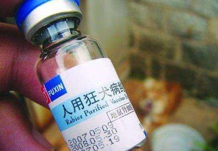 被老鼠咬了应该打什么疫苗,被老鼠咬了必须要打狂犬疫苗吗