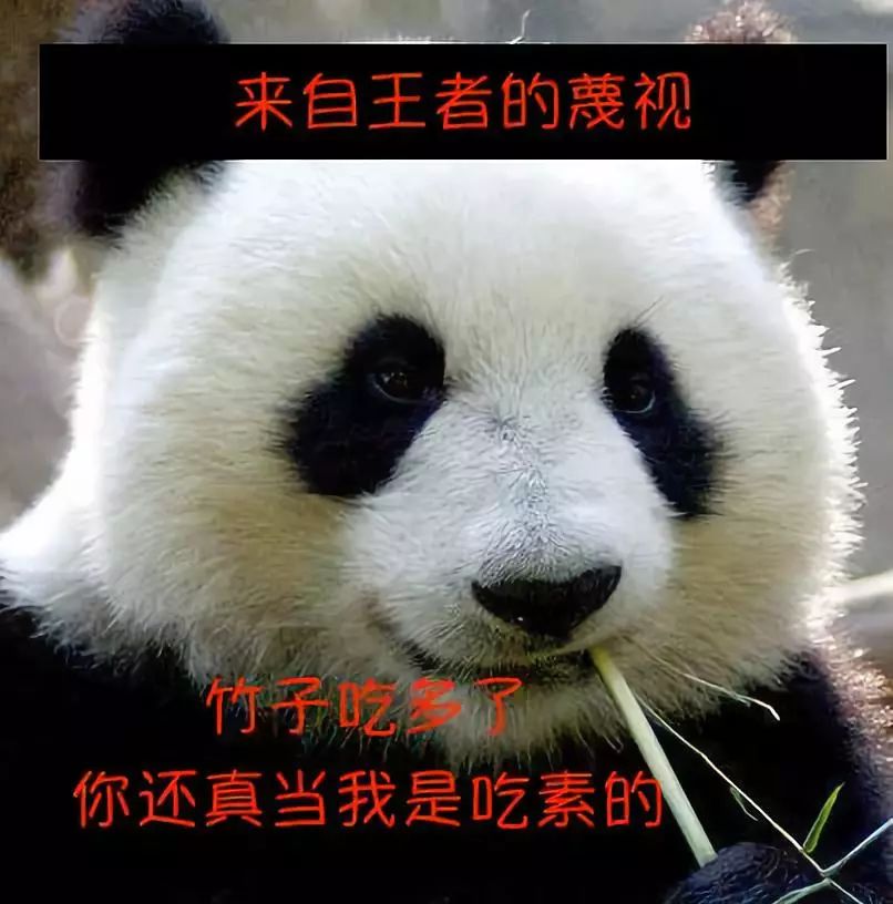 现在的熊出没大过年在哪里看,新年必看的熊出没