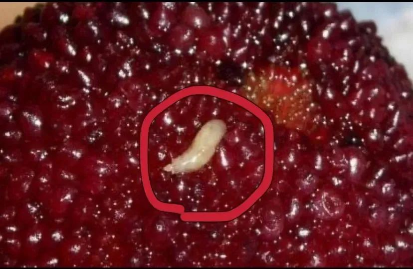 五种水果一定要清洗给孩子吃,寄生虫最多的五种水果