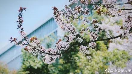 南京学费50万一年的学校,南京公办院校学费2024