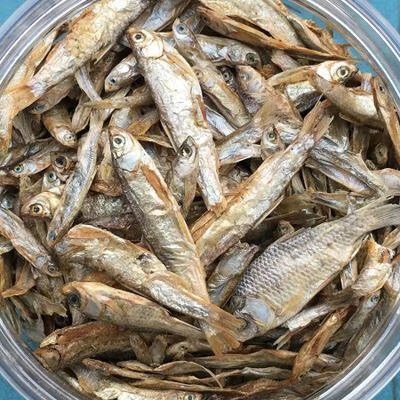 龙鱼喂食小金鱼,龙鱼喂食器多少钱