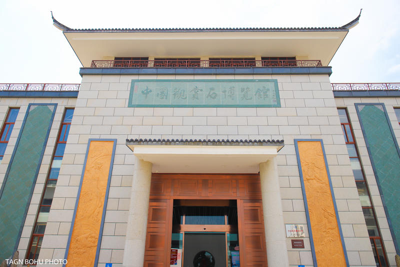 衢州飞越丛林探险乐园,浙江衢州深山