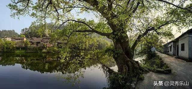 乐山五通桥小西湖美食广场,乐山小西湖