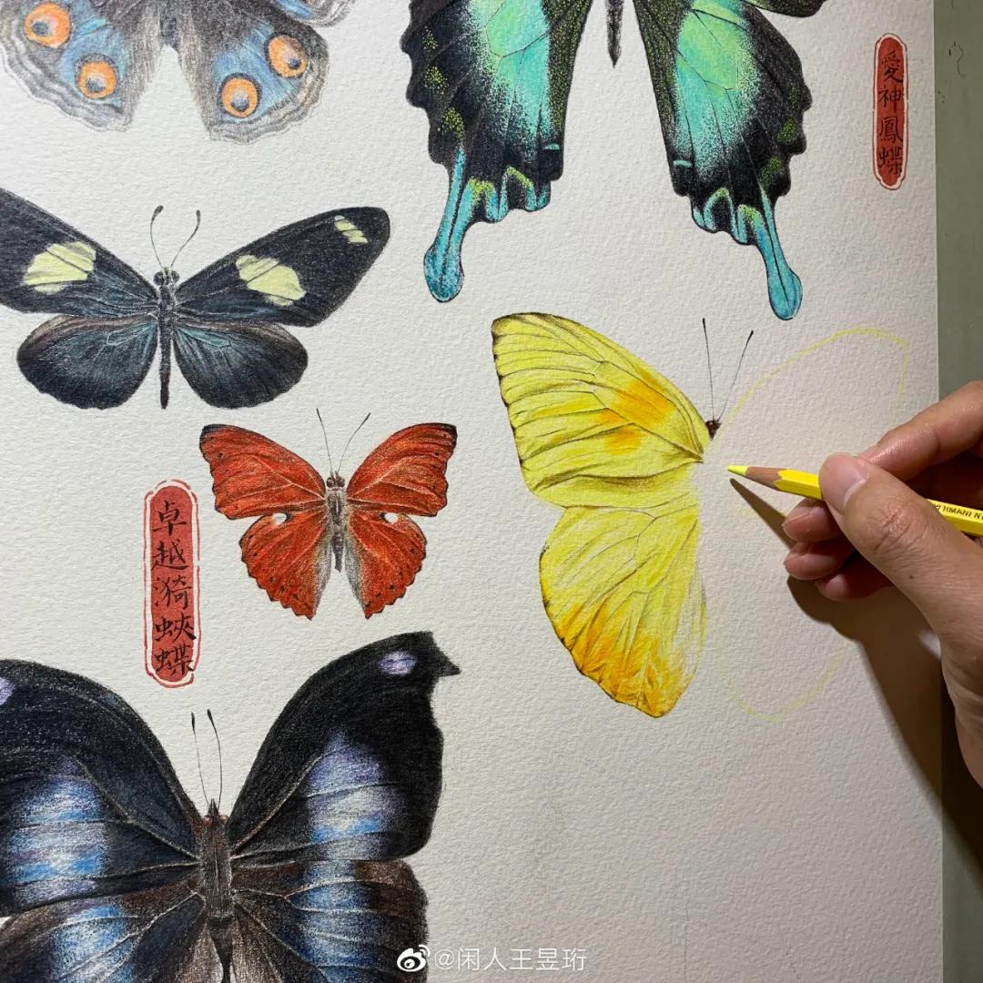 王昱珩不上班做到财富自由,最强大脑王昱珩清华毕业后不上班