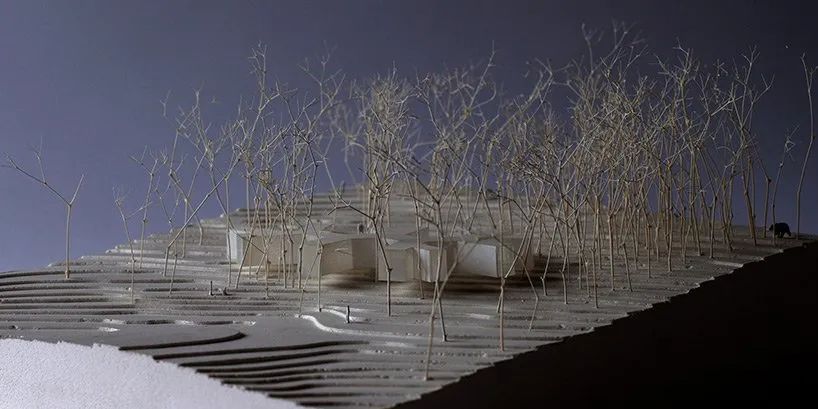 森林屋建筑,林中木屋建筑