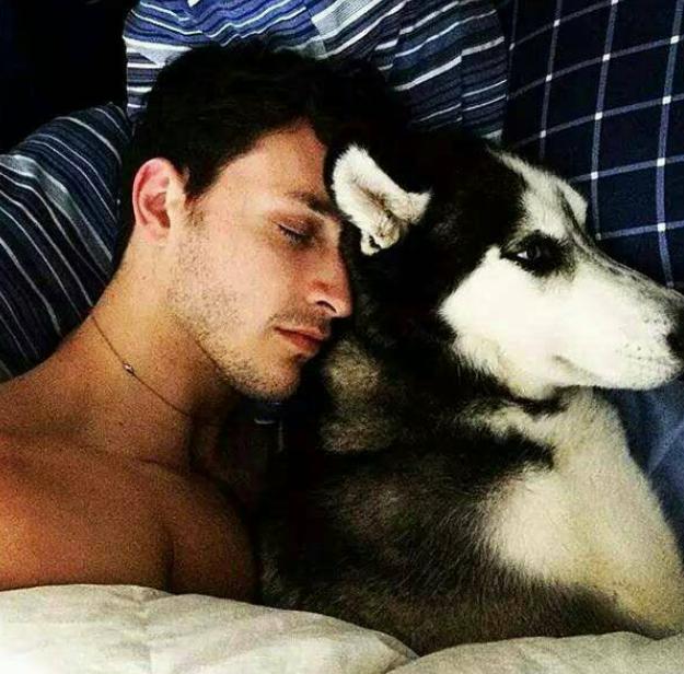 饲养哈士奇,养哈士奇新手要注意什么事项