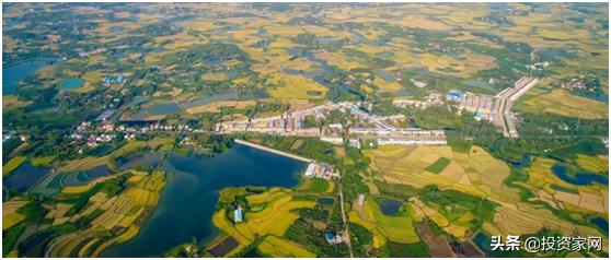 你以为都是旱地的河南，却藏着一座鱼米之乡，小龙虾更是一绝