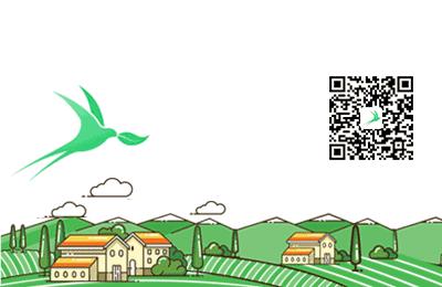 怎么样能纸上种菜,在家种菜可以做什么