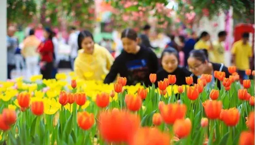 38女神节广州有哪些免费景点,38妇女节广州免票景点