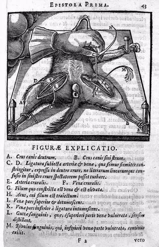 开膛手杰克的故事,开膛手杰克的过往