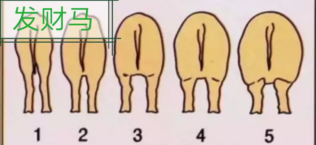 母以子贵怎么回事,母以子贵的后果