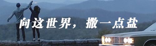 功勋军犬为拍戏被炸死片段,为了电影而被炸成碎片的军犬