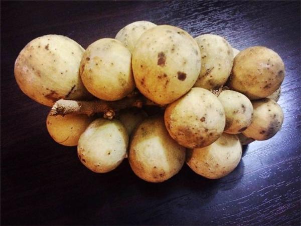 只有南方才有这5种水果,北方人绝对没吃过的六种水果