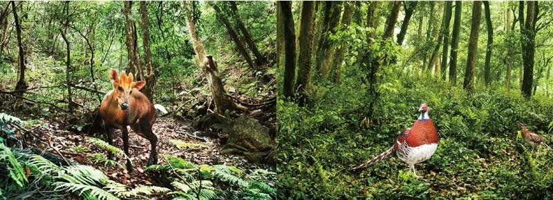 马云去的江西小镇,马云在浙江几个小镇