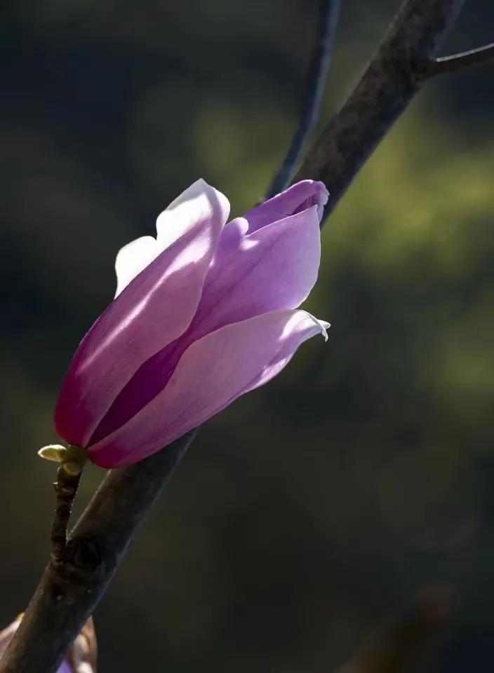 高二理科生数学和物理太差怎么办,高二物理化学怎么逆袭