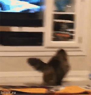 三年一剑差评万千，Google云游戏玩砸了吗？|甲子光年