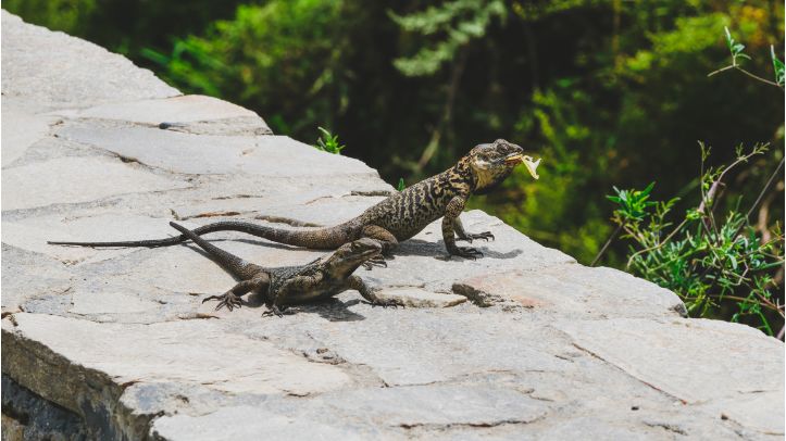 越野部落的越野视频,越野部落