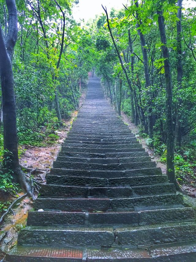 张家界和凤凰古城自助游,驴友推荐结伴游攻略
