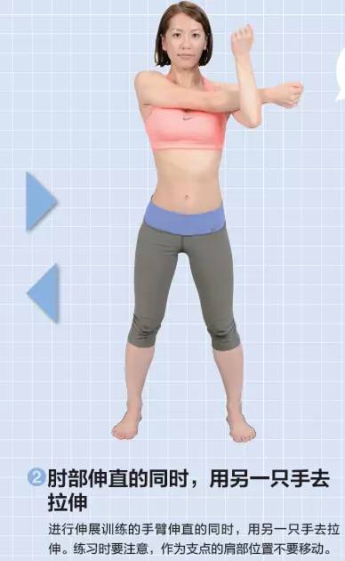初学者如何进行拉伸,手把手拉伸
