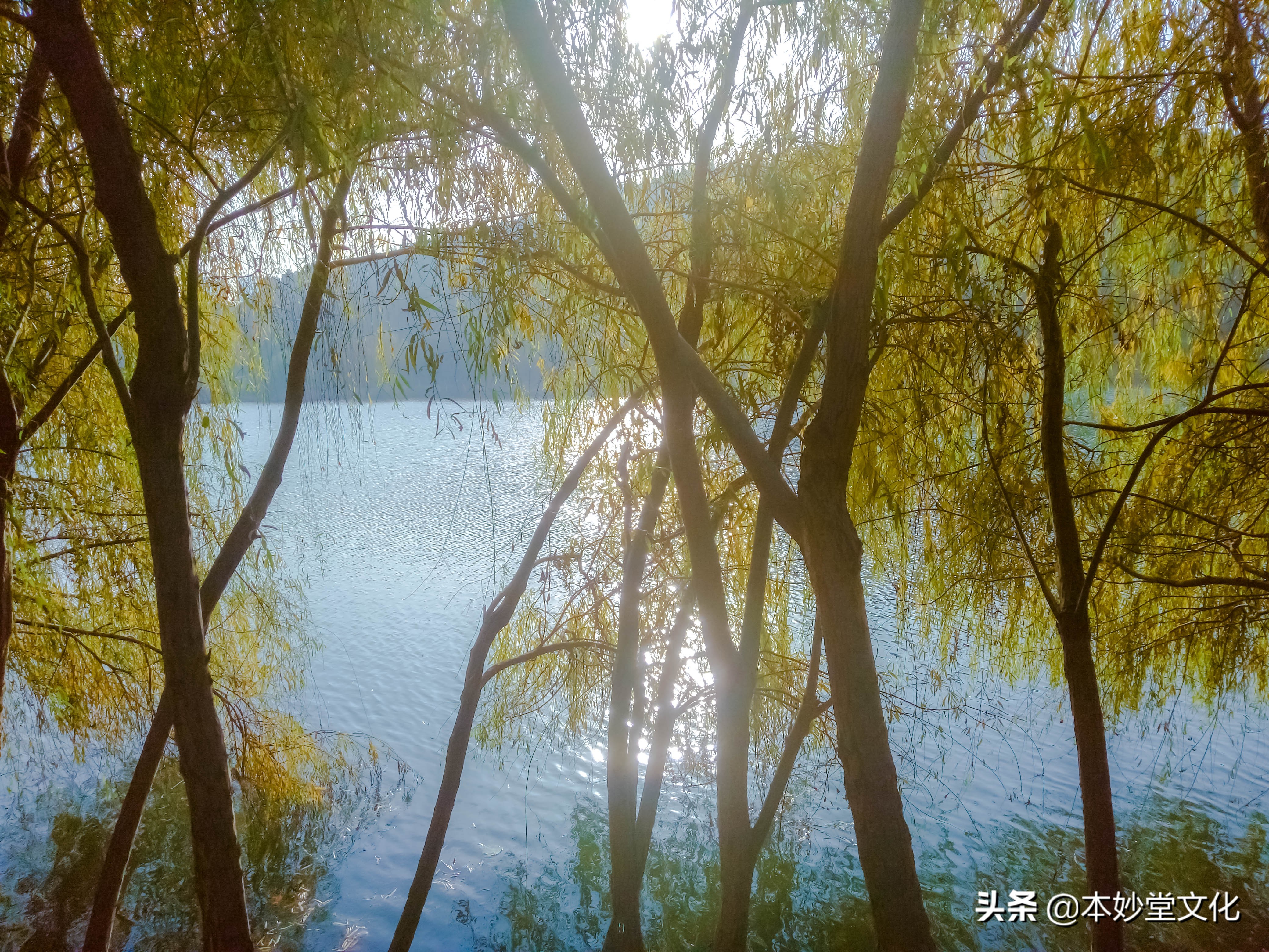 那些最不靠谱的人是怎么想的,面对一堆不靠谱的人如何调整