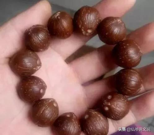 星月金刚凤眼的区别,星月菩提凤眼菩提金刚菩提怎么选