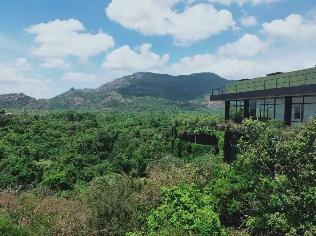 一生必去一次的神奇国度，榴莲白菜价，还有千与千寻里的海上火车