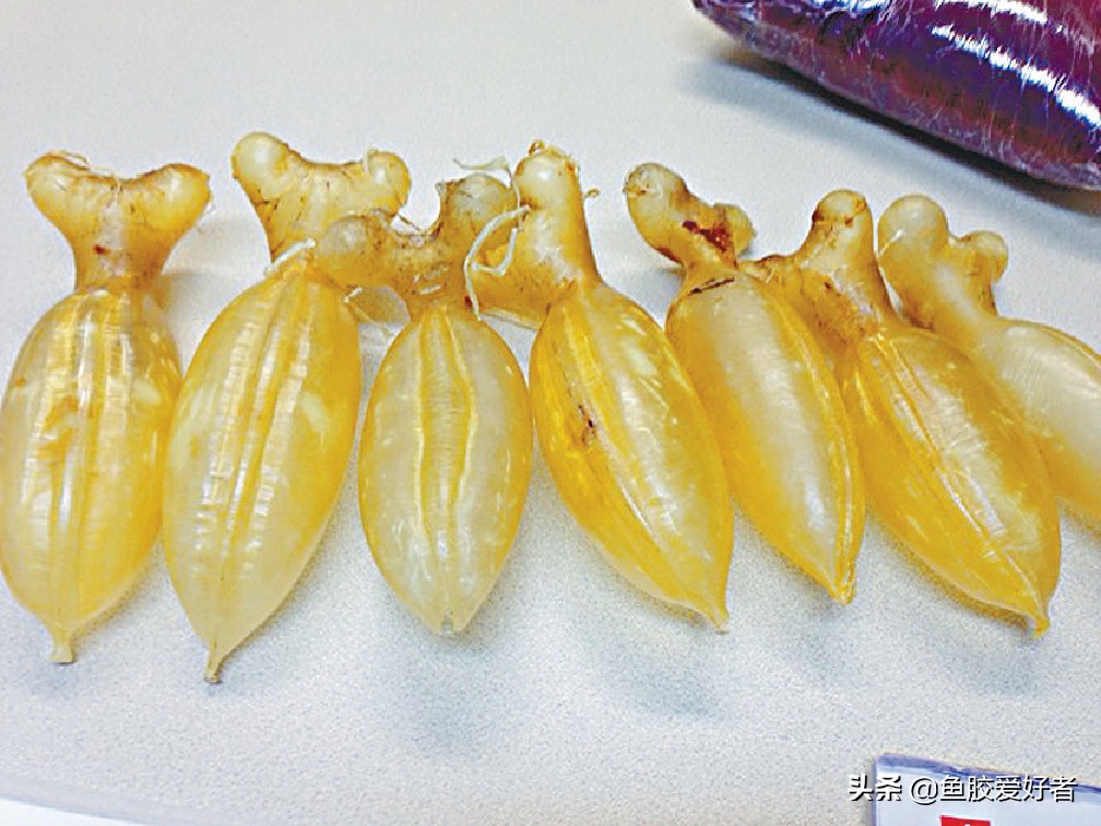如何辨别是不是好的花胶,辨别花胶真假的方法