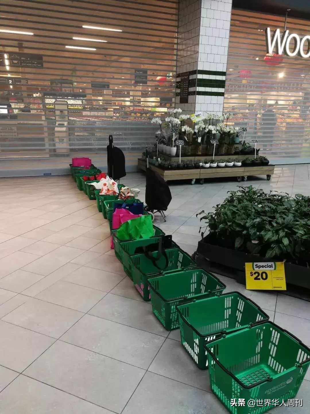 澳洲奶粉现在还能买吗,澳洲奶粉哪个品牌停产