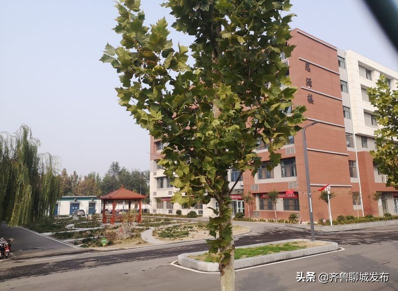 聊城二中历史,十年印象阿布