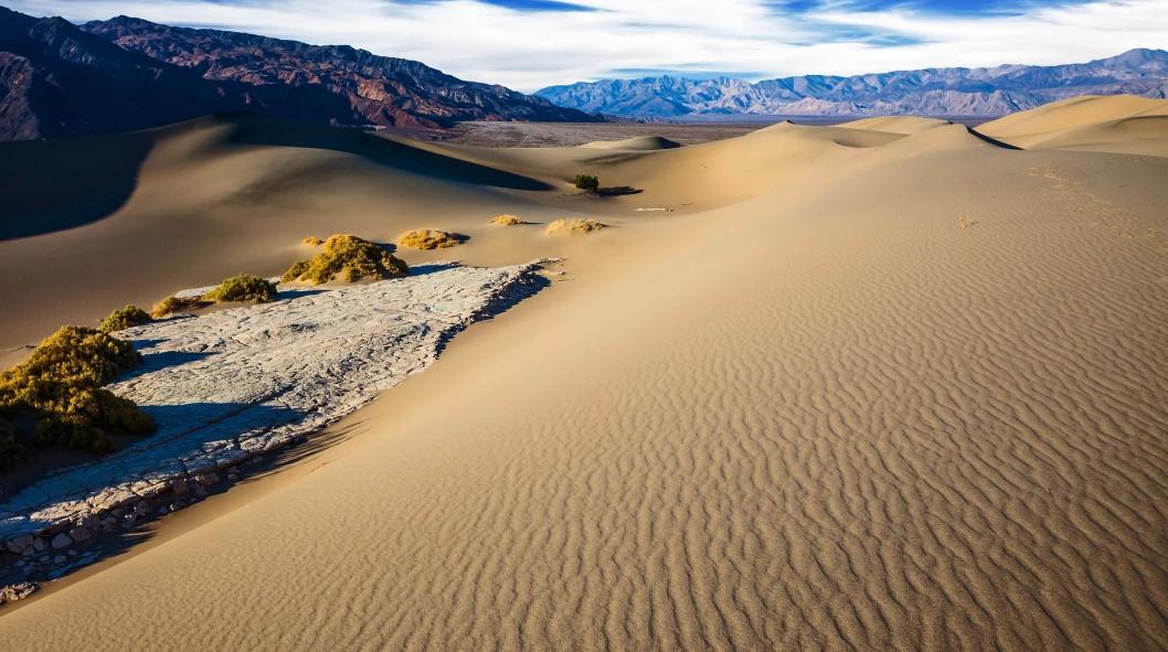 骆驼原来不是出自沙漠,你知道它是从哪里来的吗?