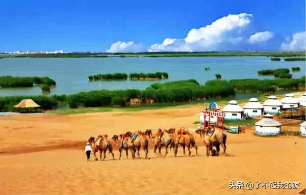 各地特产礼品一览表,天津特产必买清单一览表