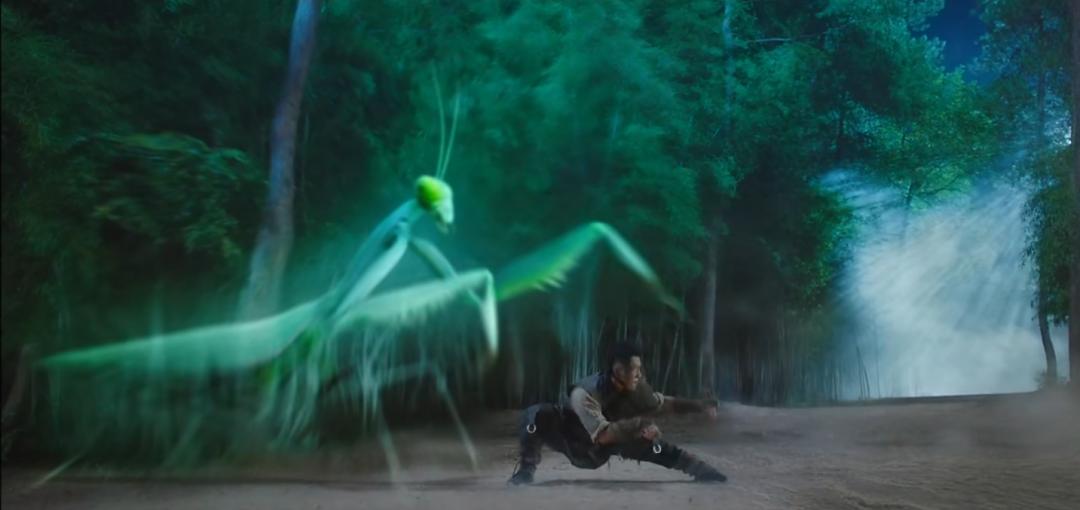 螳螂拳实战拳法,螳螂拳真实的拳法