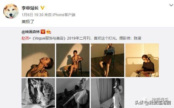 赵薇向男友人索吻,赵薇遭猴子索吻